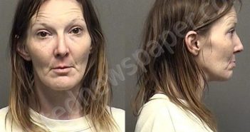 DINWOODIE,AMY MAUREEN | 2021-03-31 11:21:00 Saline County, Kansas Booking