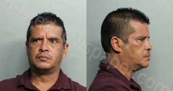 <B>SOTO</B>, <B>DIEGO</B> JAVIER #, Miami-Dade County, Florida - 2021-03-31 15:51:00