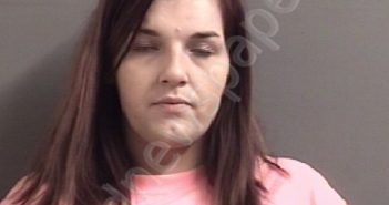 ALLEN, JESSICA RENEE | 2021-04-02 00:01:00 Wilson County, North Carolina Booking