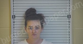 DOOLIN, AMBER L | 2021-04-02 14:09:00 Taylor County, Kentucky Booking