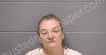 STICKEL, LOREE A | 2021-04-03 23:09:00 Will County, Illinois Booking