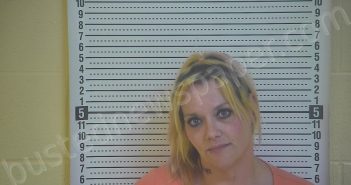 UNDERWOOD, ELIZABETH | 2021-04-04 19:05:00 Taylor County, Kentucky Booking