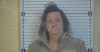 EDWARDS, LUCINDA | 2021-04-05 03:24:00 Taylor County, Kentucky Booking