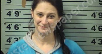 GALLOWAY, DONNA MARIE | 2021-04-05 01:34:00 Transylvania County, North Carolina Booking