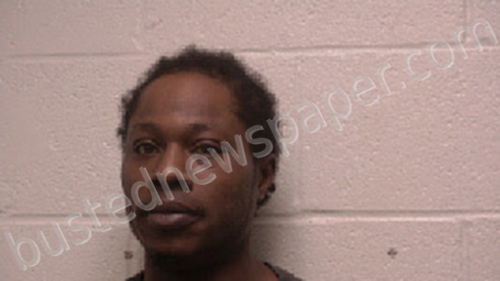 PEOPLES, CAMERON LEE #, Robertson County, Tennessee - 2021-04-06 11:19:00