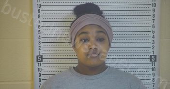 KING, KELSEY M | 2021-04-06 15:11:00 Taylor County, Kentucky Booking