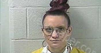 WILKINSON-<B>JONES</B>, <B>JENNIFER</B> <B>ELIZABETH</B> #, Daviess County, Kentucky - 2021-04-07 08:16:00