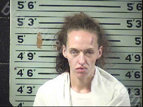 RIDDLE, LAURA NICOLE #, Transylvania County, North Carolina - 2021-04-08 16:49:00