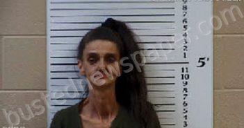 DOCKERY, NORMA JEAN | 2021-04-11 01:14:00 Cherokee County, North Carolina Booking
