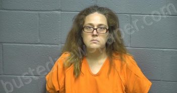 MINOR, ANTOINETTE CHRISTINE, N/A | 2021-04-12 13:06:00 Rsw Regional Jail, Virginia, RSW Regional Jail, Virginia Booking