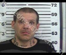 TIMOTHY KAIL | 2021-04-12 13:11:00 Gibson County, Tennessee Booking