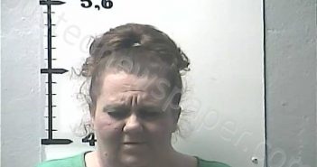FALCONBERRY, SHONDA LEE | 2021-04-13 18:49:00 Lincoln County, Kentucky Booking