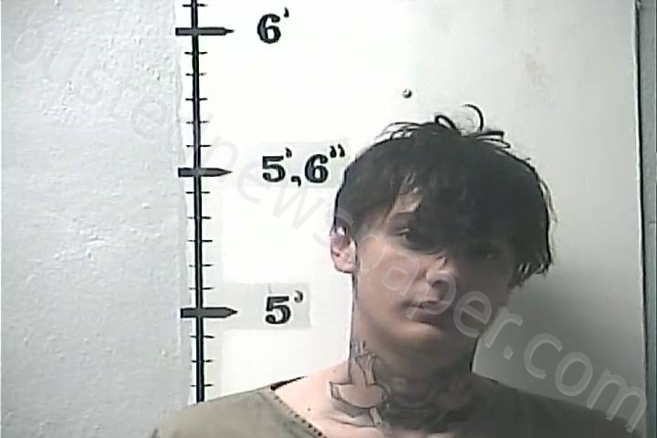 TOOMEY, DALTON WAYNE #, Lincoln County, Kentucky - 2021-04-13 03:12:00