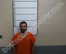 BRANDON ELLISON | 2021-04-13 22:00:00 Morgan County, Tennessee Booking