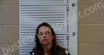 RICHARDSON, CONSTANCE PAIGE | 2021-04-13 16:00:00 Cherokee County, North Carolina Booking