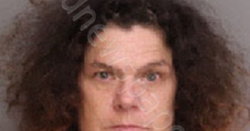 RICHARDSON, DONNA LYNN | 2021-04-15 18:20:00 Florence County, South Carolina Booking
