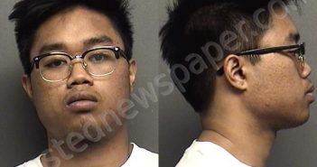 IN,SOPHANA | 2021-04-16 18:25:00 Saline County, Kansas Booking