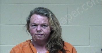 SADLER, PATRICIA ANN | 2021-04-16 Todd County, Kentucky Booking