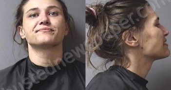 <B>DAVIDSON</B>, <B>MEGAN</B> <B>NICHOLE</B> #, Madison County, Indiana - 2021-04-16 09:40:00