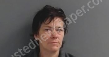 LISA DYANN JENNINGS | 2021-04-17 22:41:00 Marion County, Arkansas Booking