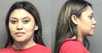 AVINA,ERICKA ALEJANDRO | 2021-04-18 01:22:00 Saline County, Kansas Booking