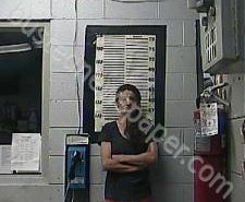 ANN HOLT | 2021-04-18 13:45:00 Cocke County, Tennessee Booking