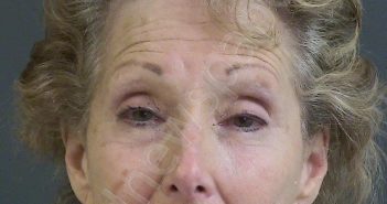 HEIN, CYNTHIA | 2021-04-19 00:55:00 Charleston County, South Carolina Booking
