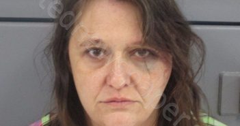 GALFORD, KIMSHEA MARIA ROSE | 2021-04-19 05:10:00 Pocahontas County, West Virginia Booking