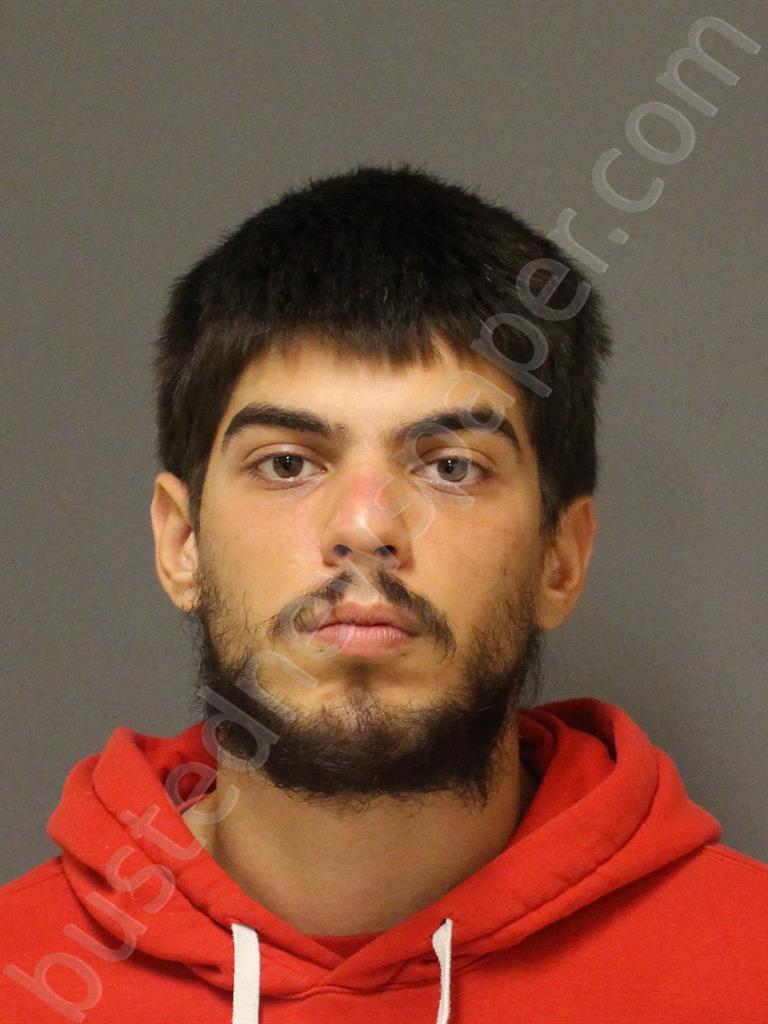ALVAREZ, ANGEL DANIEL #, Orange County, Florida - 2021-04-19