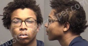 POWELL,MALIQUE TREMONE | 2021-04-19 17:30:00 Saline County, Kansas Booking