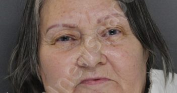 NELSON, VICKI LYNN | 2021-04-20 22:52:00 Ellis County, Texas Booking