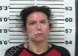 SHAWNA GRACE | 2021-04-20 22:29:00 Gibson County, Tennessee Booking