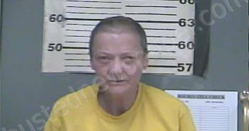 FITZWATER, VIVIAN LOUISE | 2021-04-20 17:47:00 Greenup County, Kentucky Booking
