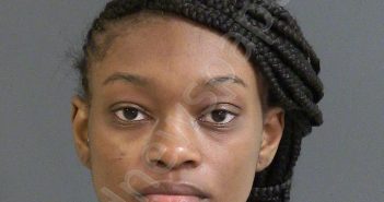 NEWKIRK, CHELSEY BRANDICE | 2021-04-20 03:30:00 Charleston County, South Carolina Booking