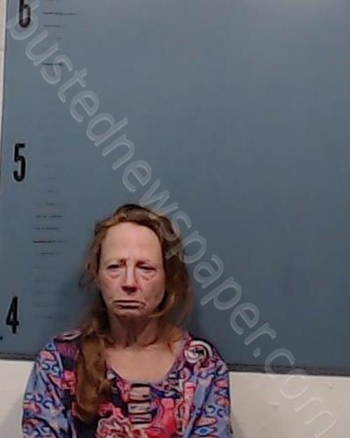 SIMMONS, DARLENE RENEE #, Taylor County, Texas - 2021-04-20
