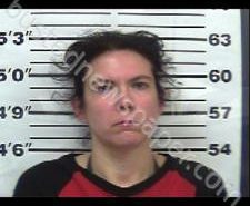 SHAWNA GRACE | 2021-04-20 21:29:00 Gibson County, Tennessee Booking