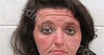 <B>JOHNSON</B>, <B>MARTHA</B> NICOLE #, Rutherford County, North Carolina - 2021-04-21