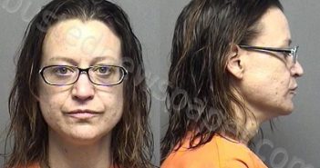 TARVER,THERESA ANN | 2021-04-22 11:49:00 Saline County, Kansas Booking