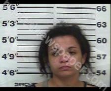 HALEE SANDERS | 2021-04-22 10:44:00 Gibson County, Tennessee Booking