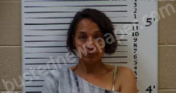 ELKINS, INES SUE | 2021-04-22 17:09:00 Cherokee County, North Carolina Booking