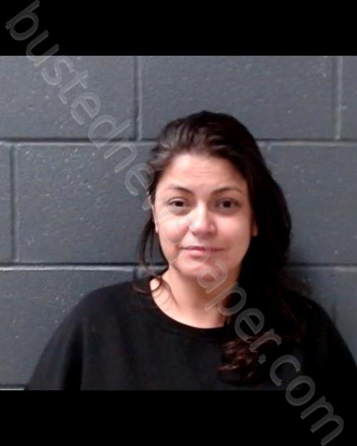 Rodriguez, Tanya Lowery Mugshot | 2021-04-22 Comal County, Texas Arrest