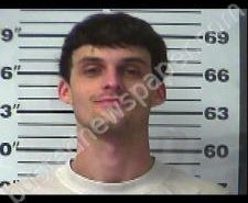 STEVIE HARPER | 2021-04-22 00:34:00 Gibson County, Tennessee Booking