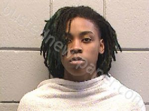 LANGLEY, TAKECIA FAESHON | 2021-04-23 14:45:00 Navarro County, Texas Booking