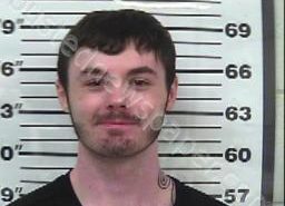 ZACHARY MCCANN | 2021-04-23 13:12:00 Gibson County, Tennessee Booking