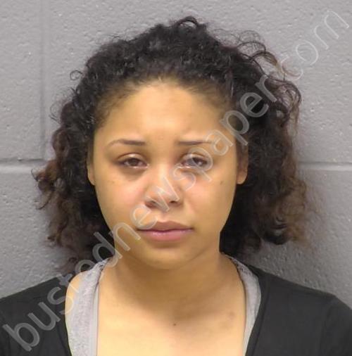 DAVIS, CHRISTA R #, Will County, Illinois - 2021-04-24 19:31:00