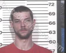 DALTON <B>WILSON</B> #, <b>Henry</b> County, Tennessee, Henry County, Tennessee - 2021-04-25 21:34:00