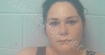 HAMLIN, BRITTANY MICHELLE | 2021-04-27 14:31:00 Marshall County, Tennessee Booking