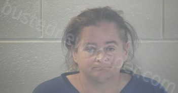 BRAY, JESSICA ANN | 2021-04-28 22:56:00 Pulaski County, Kentucky Booking