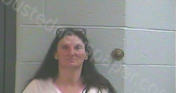 WILSON, JUANITA FAYE | 2021-04-30 22:36:00 Ballard County, Kentucky Booking