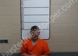 SHANNON SETTLES | 2021-04-30 15:21:00 Morgan County, Tennessee Booking